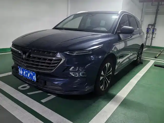 WULING WULING CAPGEMINI