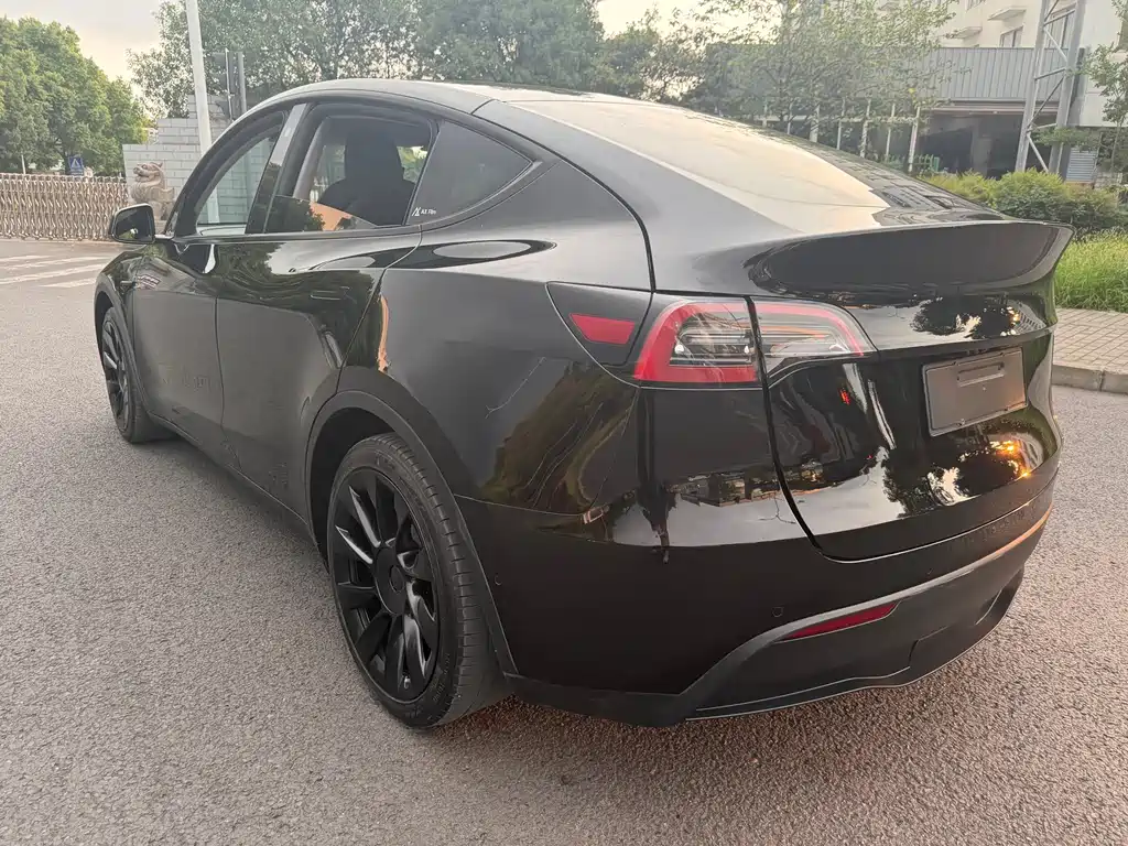 Tesla Model Y — миниатюра 5