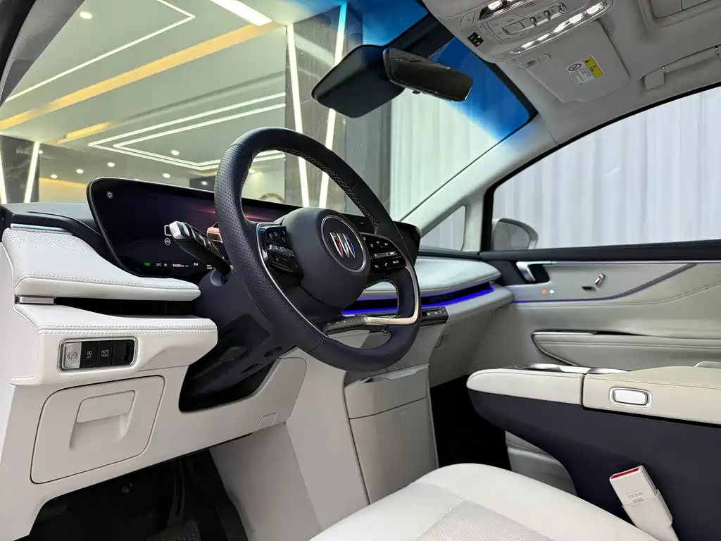 Buick GL8 — миниатюра 5