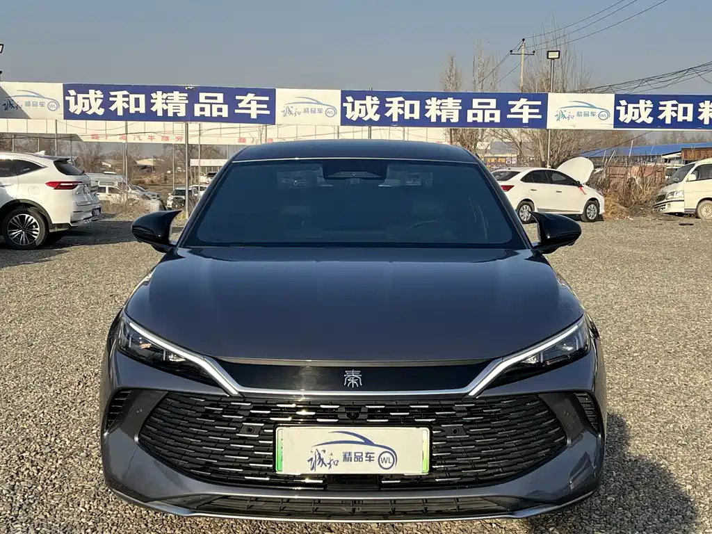 BYD QIN L