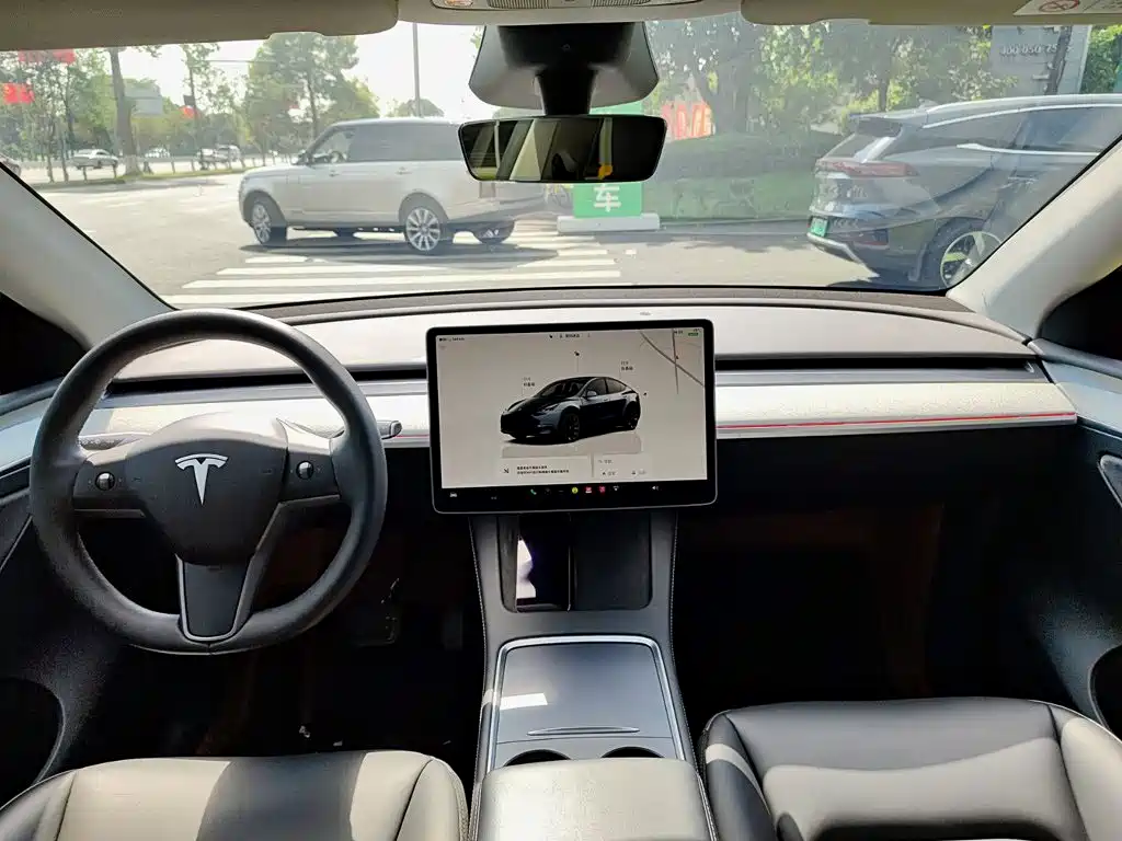 Tesla Model Y — миниатюра 10