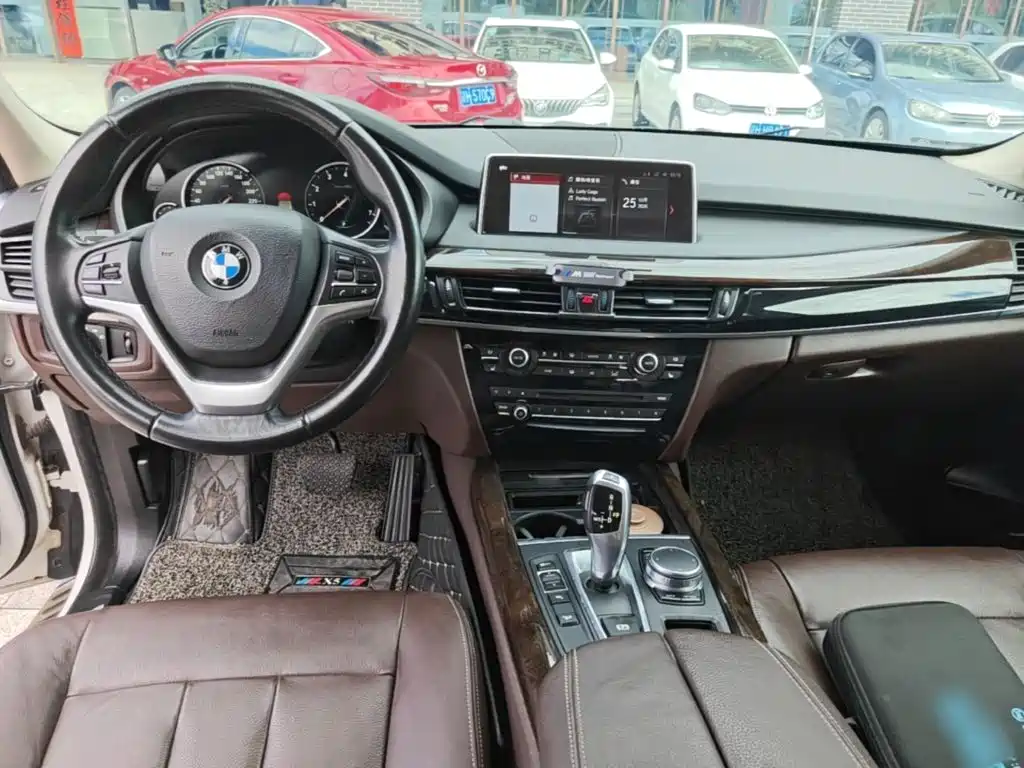 BMW X5 (Import) — миниатюра 10