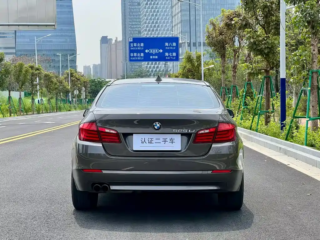 BMW 5 Series 5 2013 525Li Lead