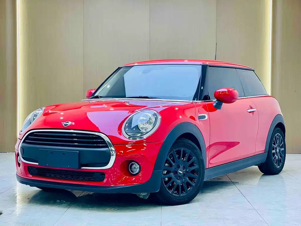Mini Mini 2021