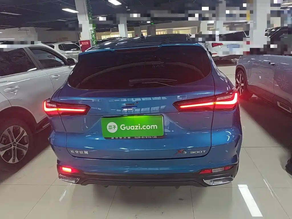 Oshan Oushang X5 — миниатюра 6