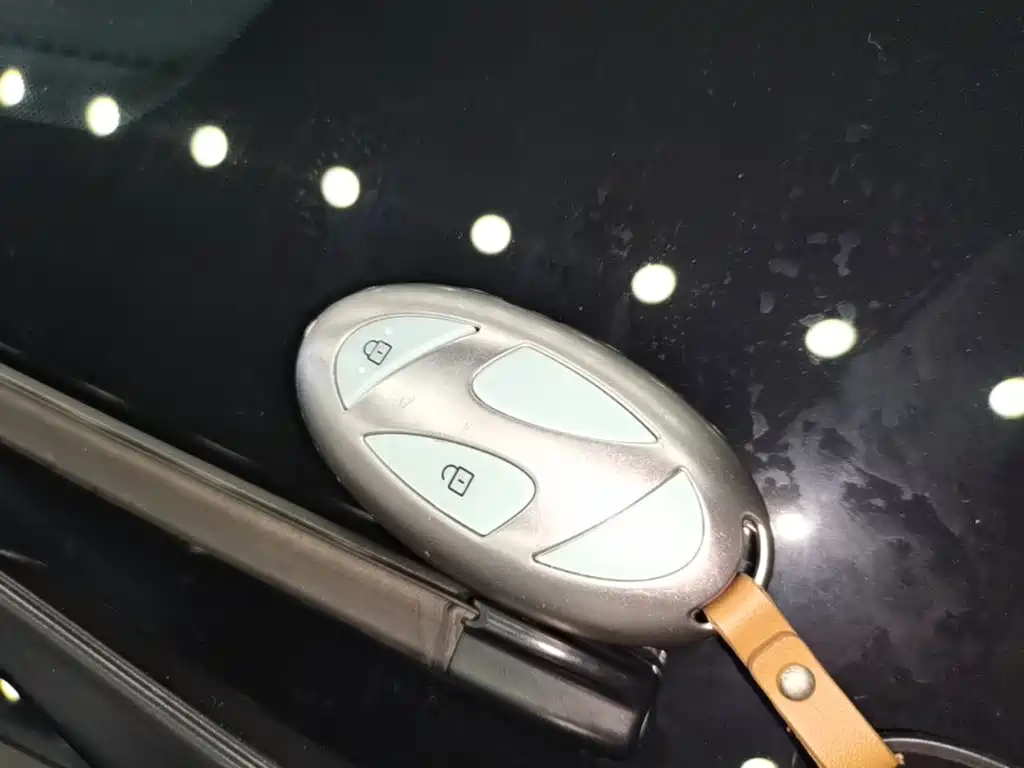 Hyundai EO — миниатюра 9