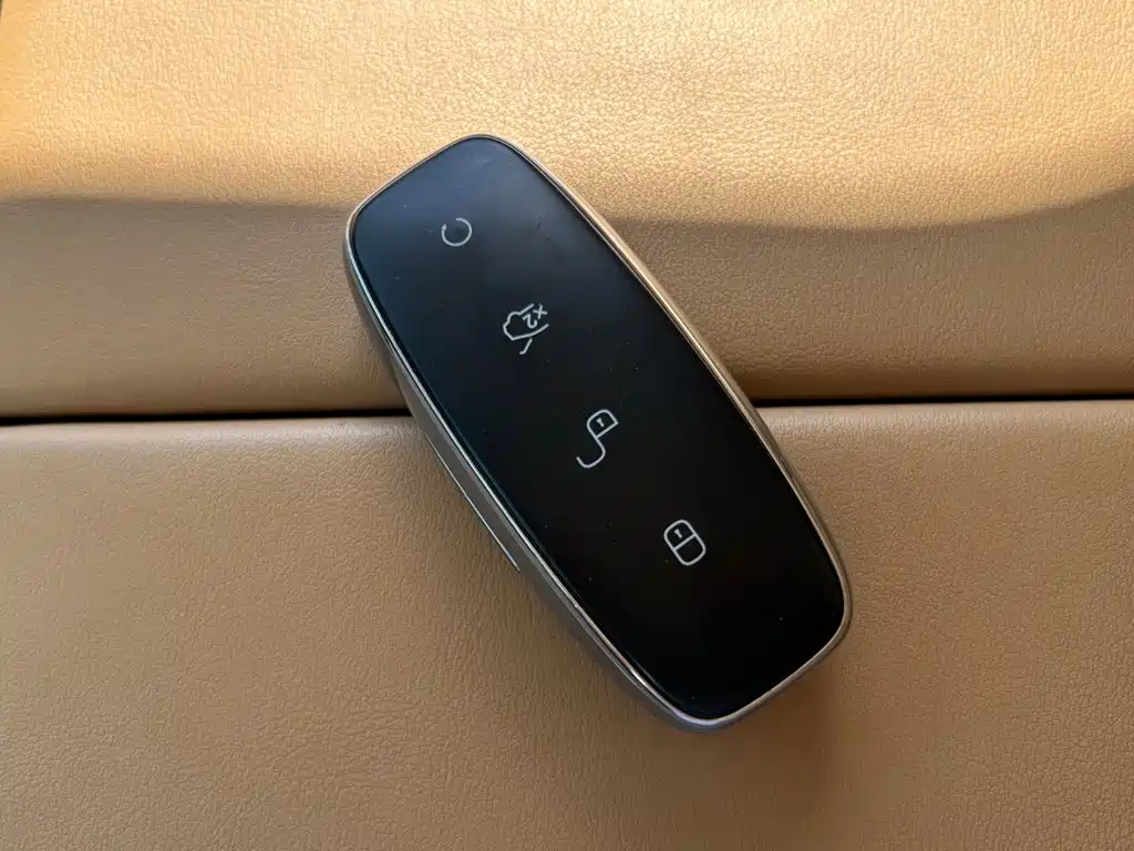 Denza Denza D9 — миниатюра 10