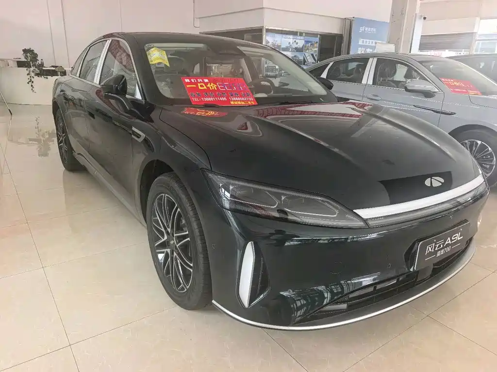 Fulwin Fengyun A9L — миниатюра 4