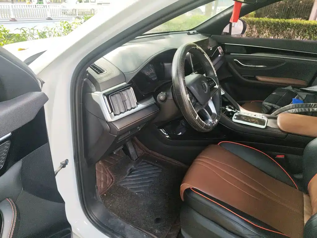 BYD PLUS — миниатюра 12