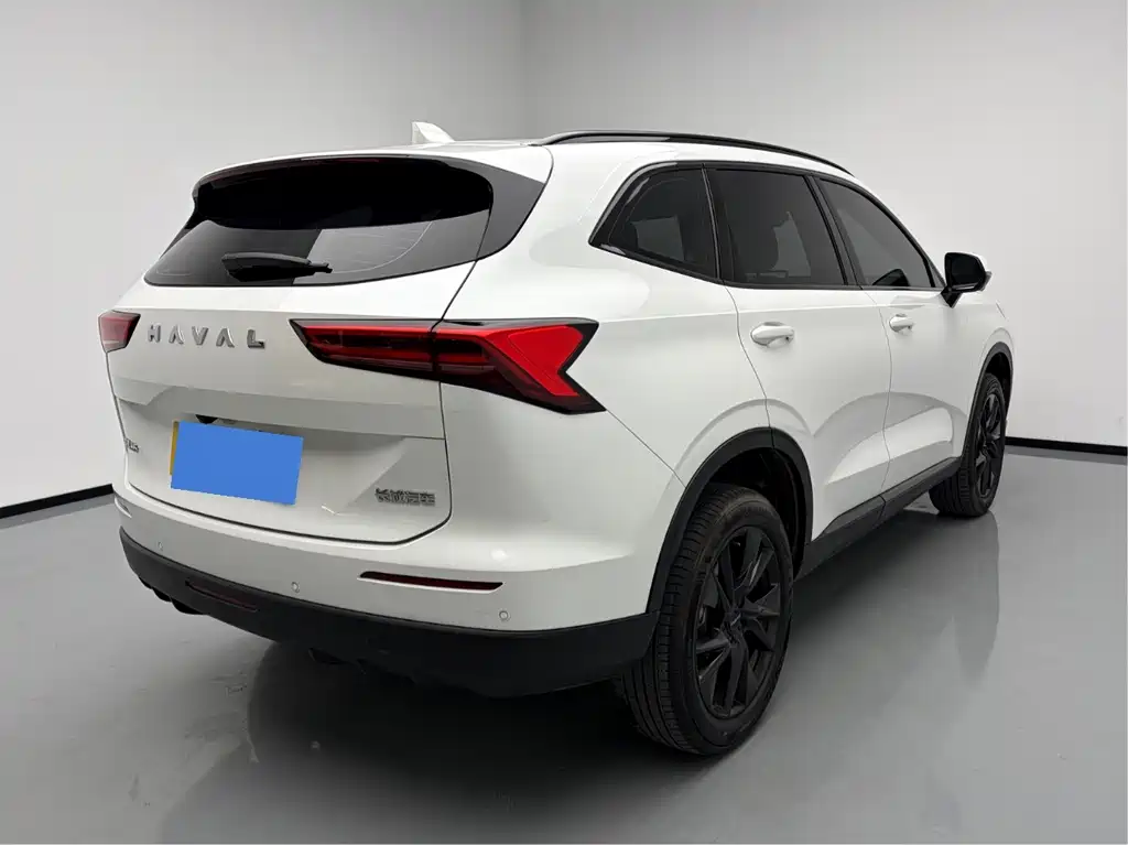 Haval H6 — миниатюра 8