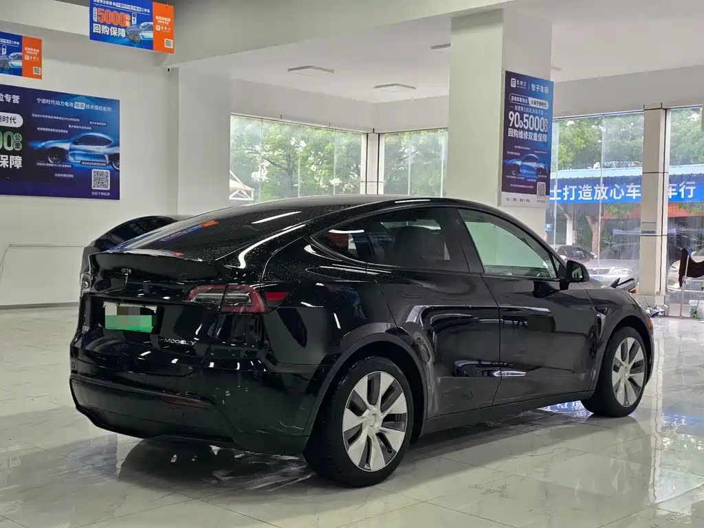 Tesla Model Y — миниатюра 10