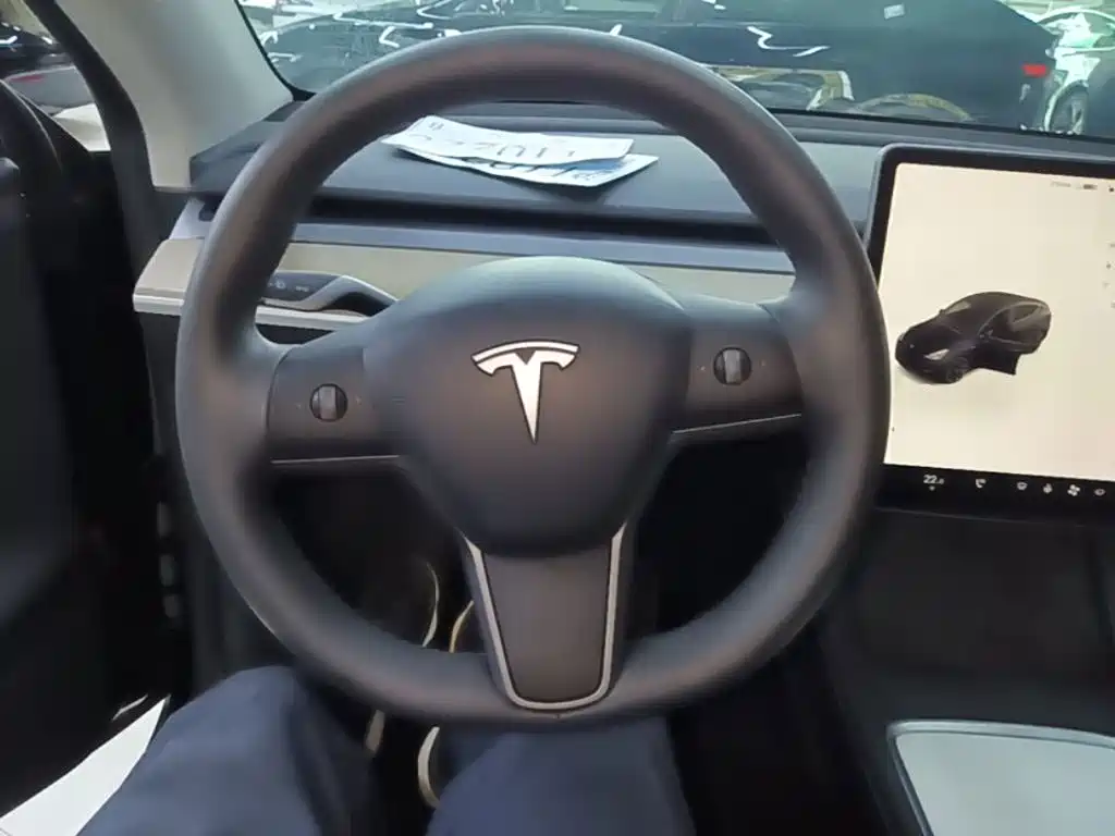 Tesla Model Y — миниатюра 11