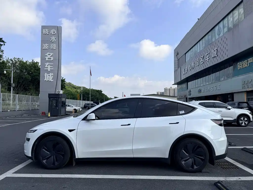 Tesla Model Y — миниатюра 3