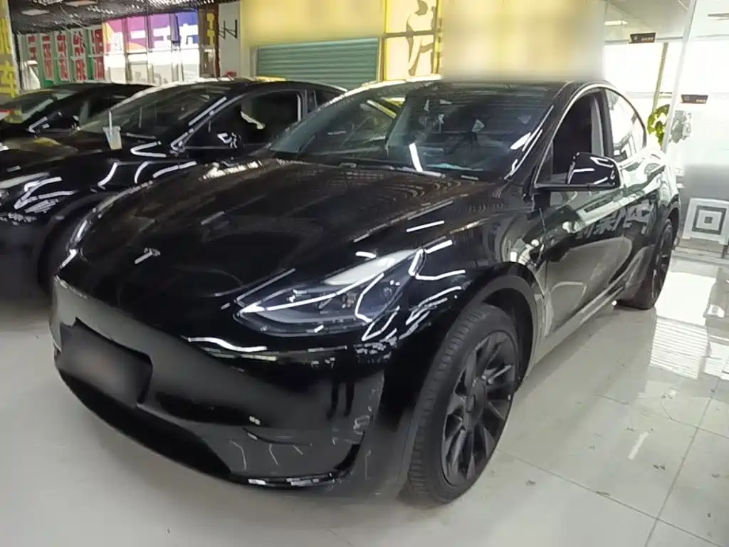 Tesla Model Y — миниатюра 2