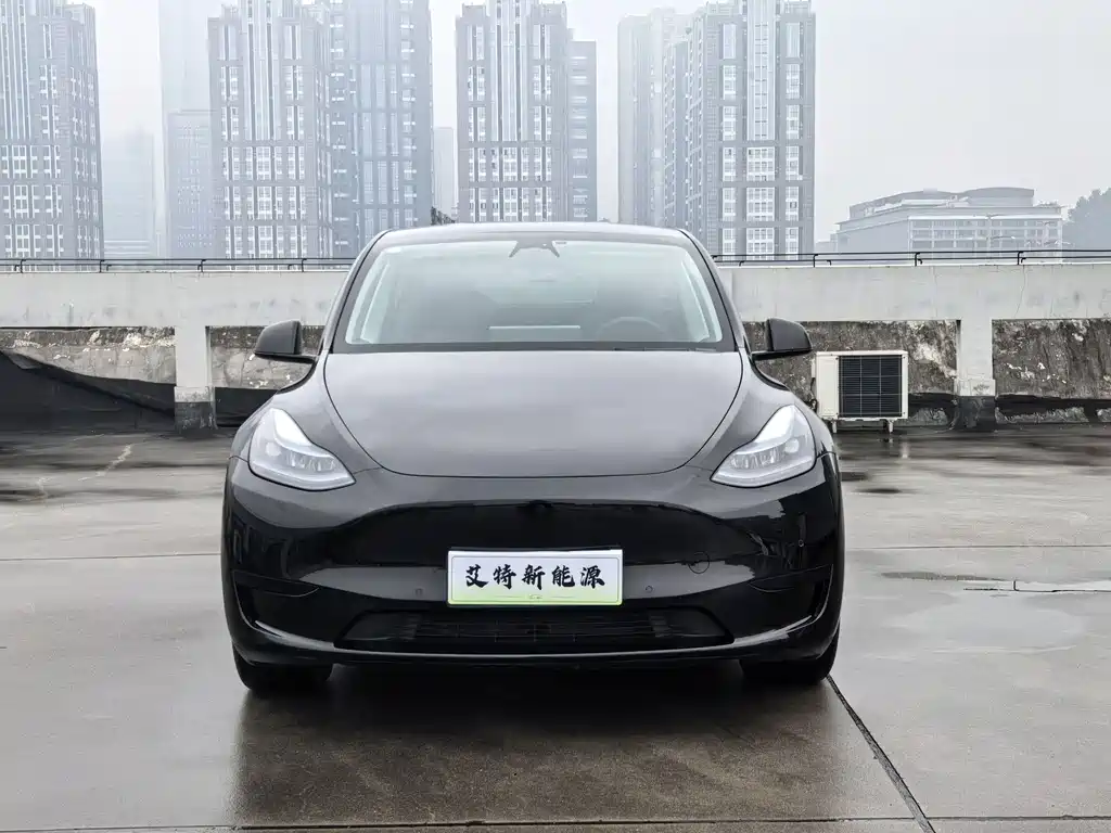 Tesla Model Y — миниатюра 2