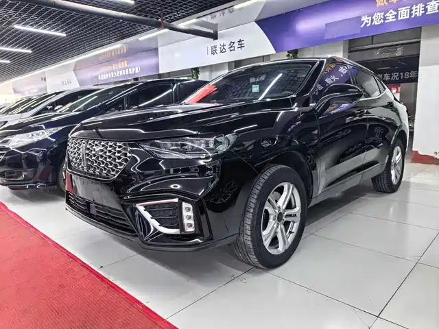 WEI PAI WEI BRAND VV5 2020