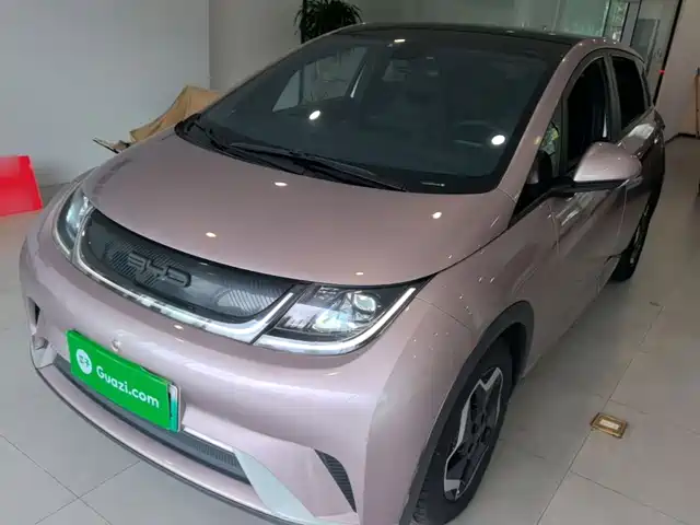 BYD Dolphin