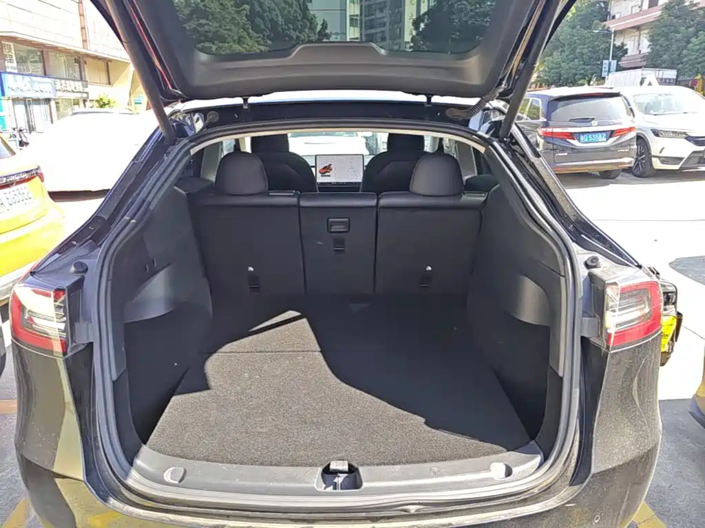 Tesla Model Y — миниатюра 19