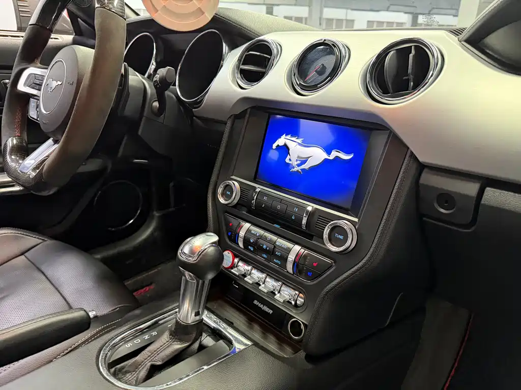 Ford Mustang — миниатюра 15
