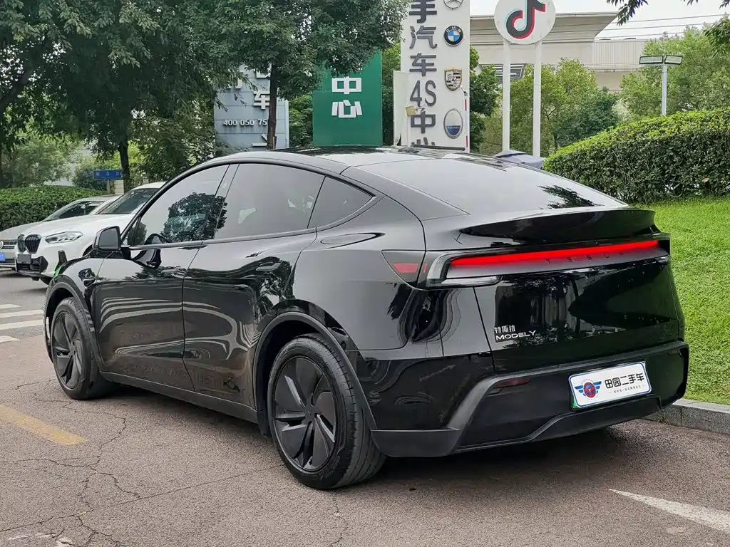 Tesla Model Y — миниатюра 4