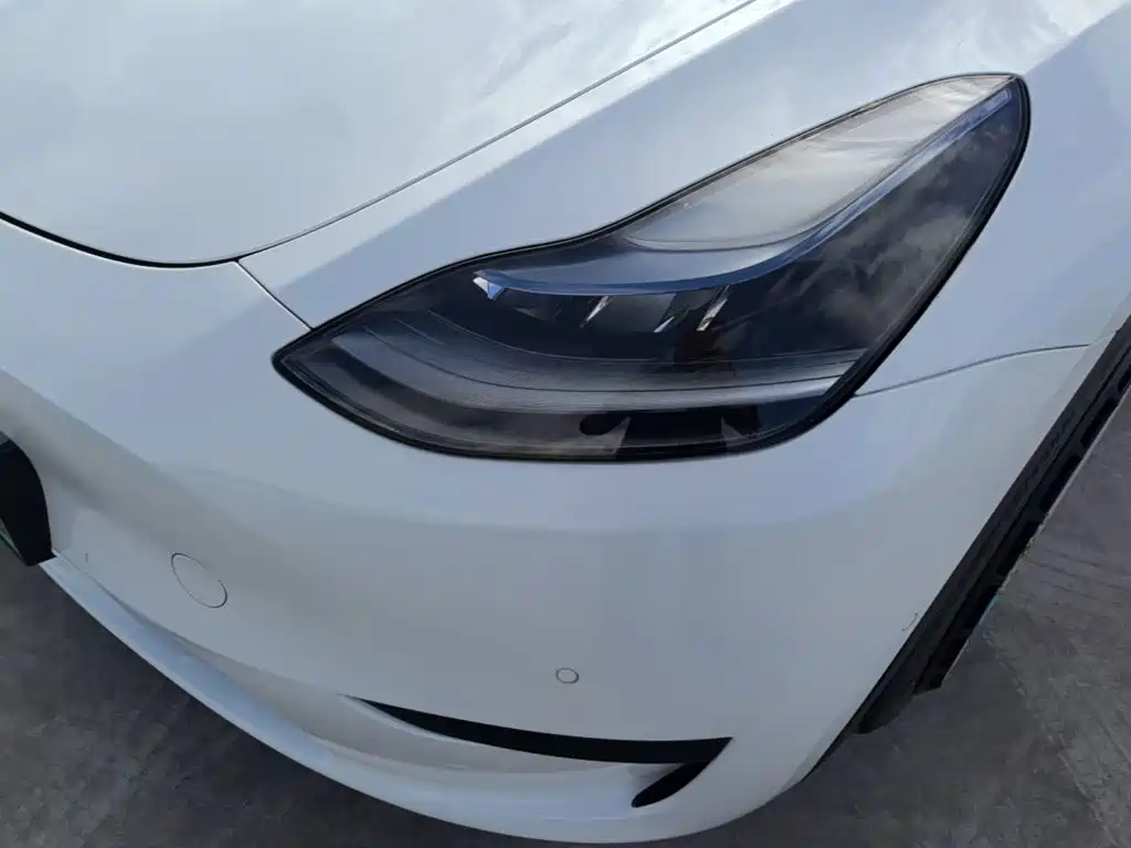Tesla Model Y — миниатюра 24