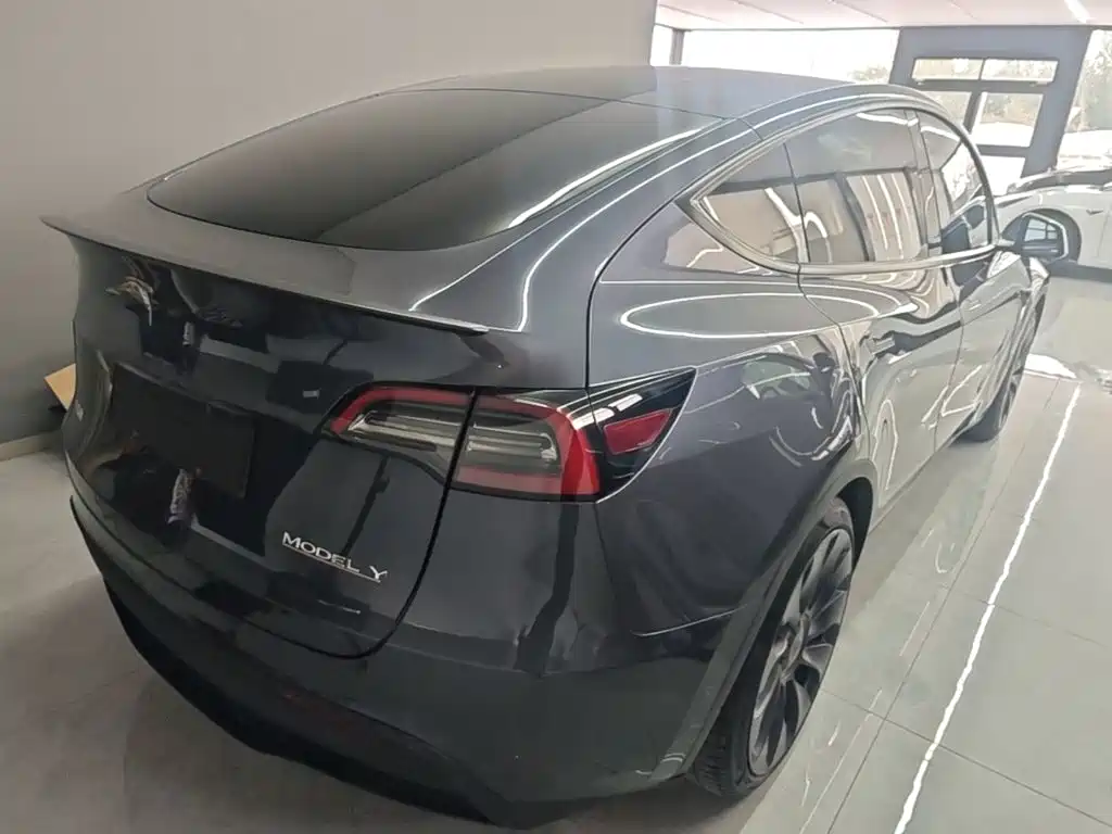 Tesla Model Y — миниатюра 7