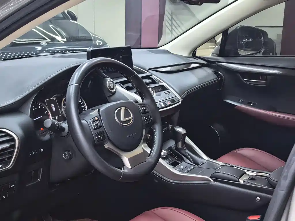 Lexus NX — миниатюра 14