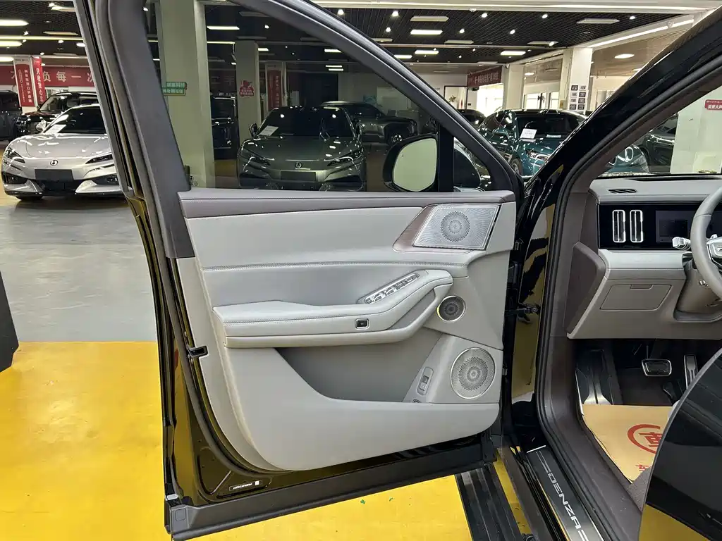 Denza Denza N8L — миниатюра 5