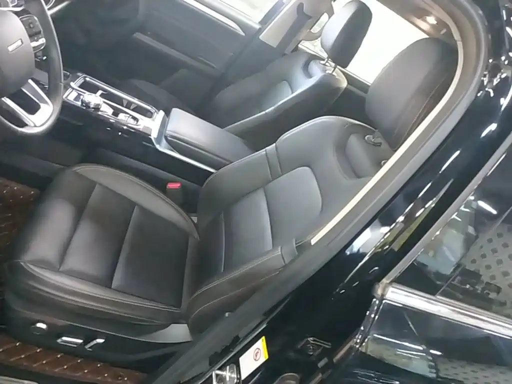 Haval 长城大狗 — миниатюра 15