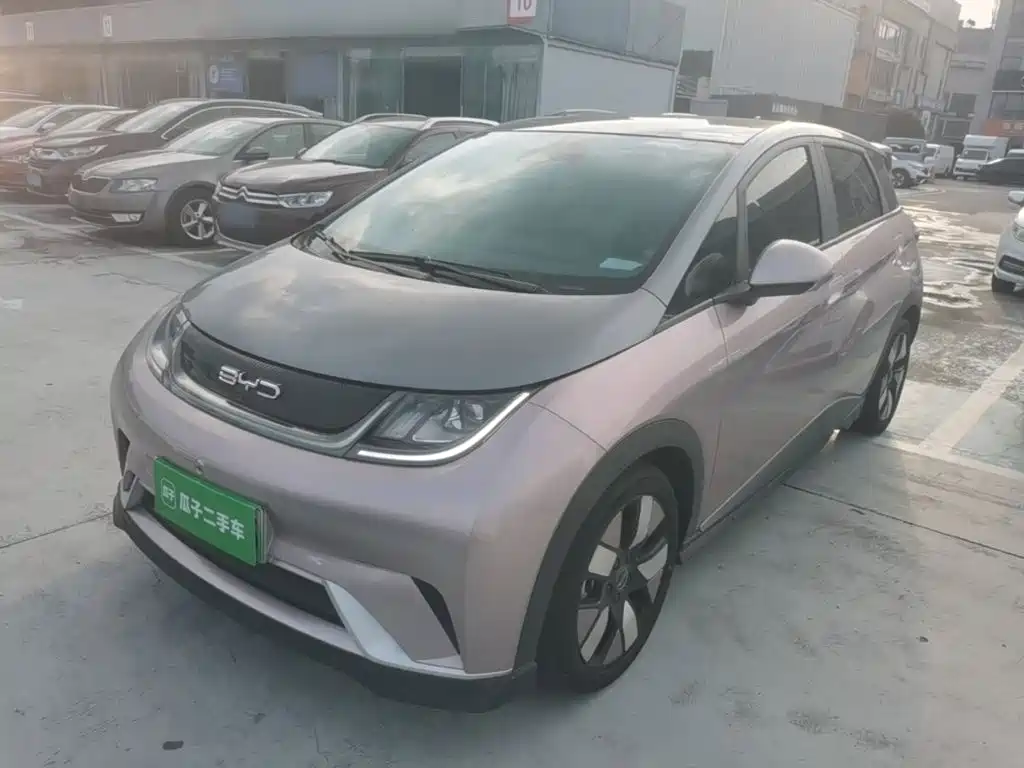 BYD Dolphin — миниатюра 2