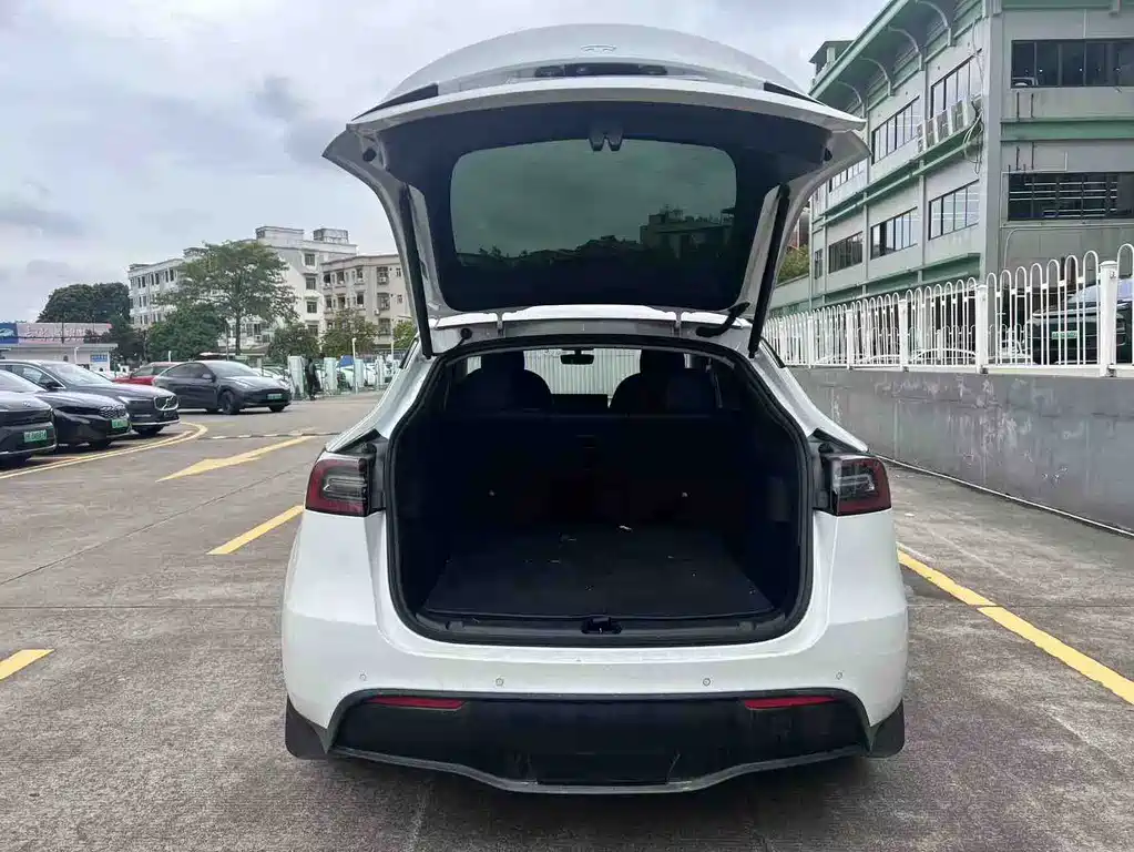 Tesla Model Y — миниатюра 15