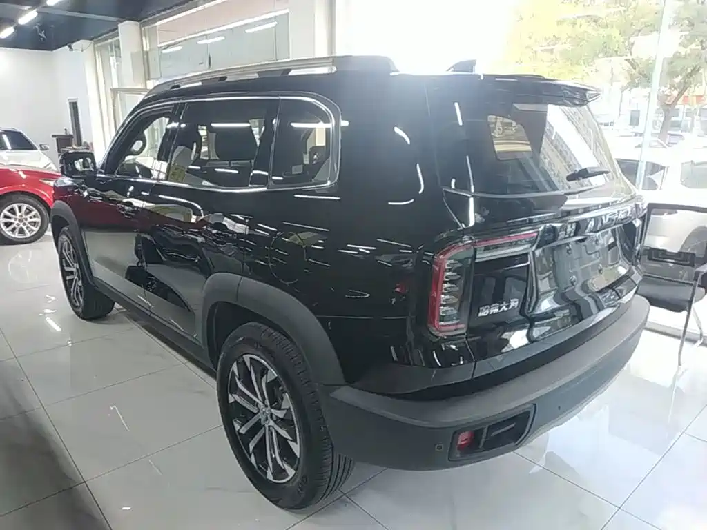 Haval 长城大狗 — миниатюра 5