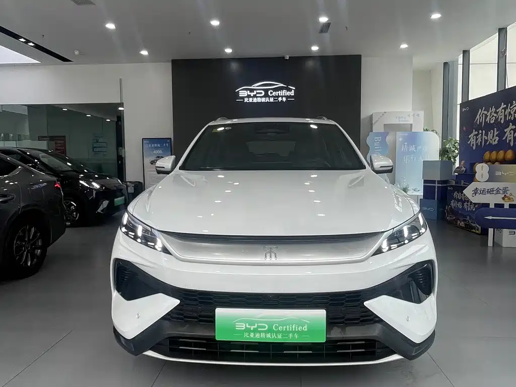 BYD Pro New Energy — миниатюра 2