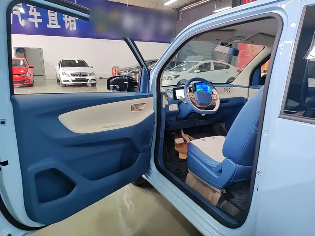 Fengguang Fengguang MINIEV — миниатюра 16
