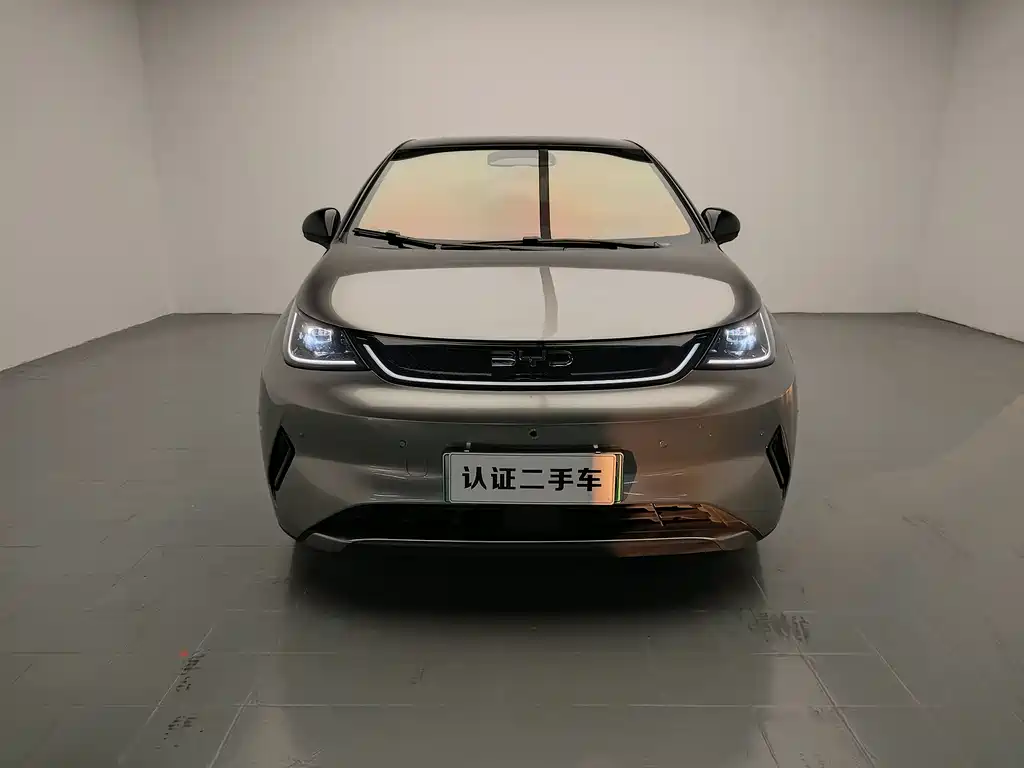 BYD Dolphin — миниатюра 2