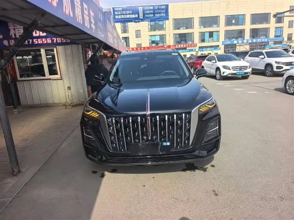 Купить Hongqi Hongqi HS5