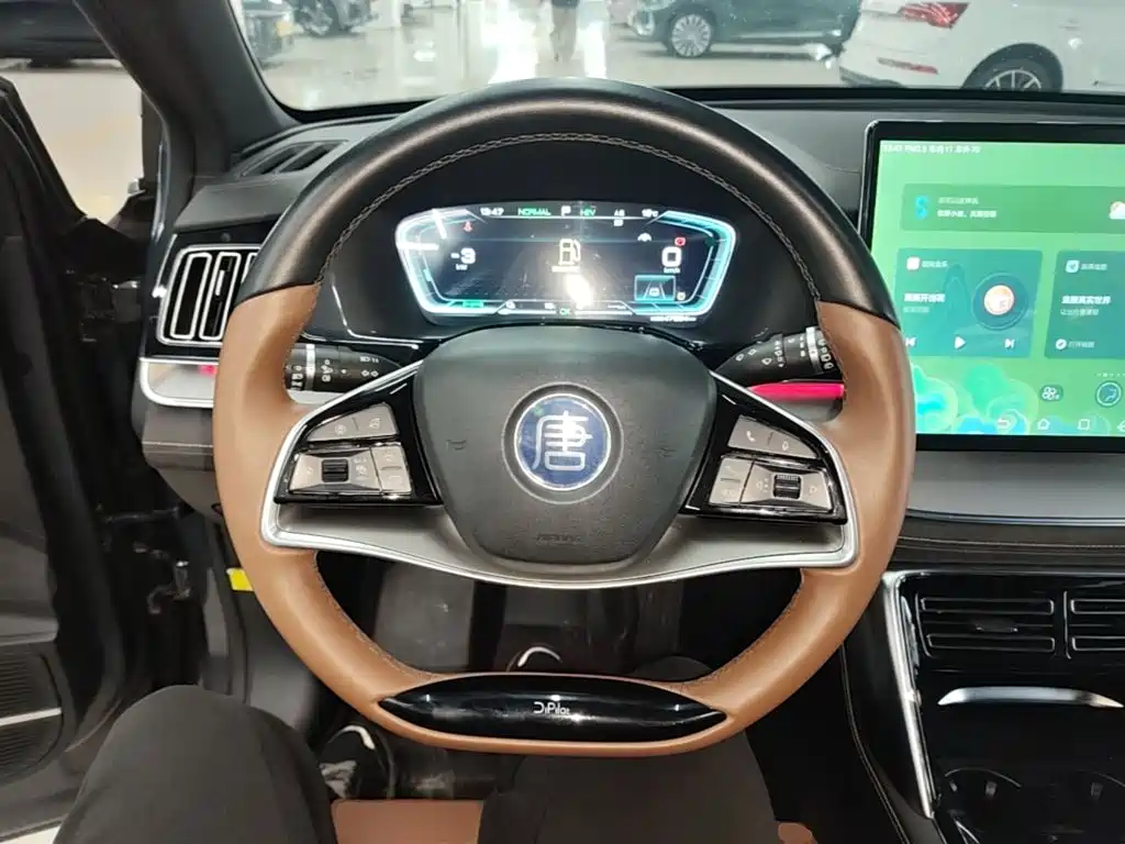 BYD Tang New Energy — миниатюра 11