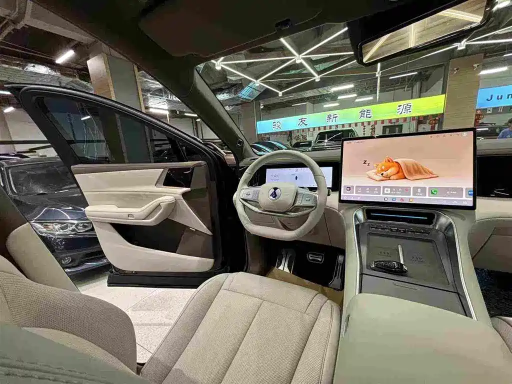 Denza Zoom N8L — миниатюра 27
