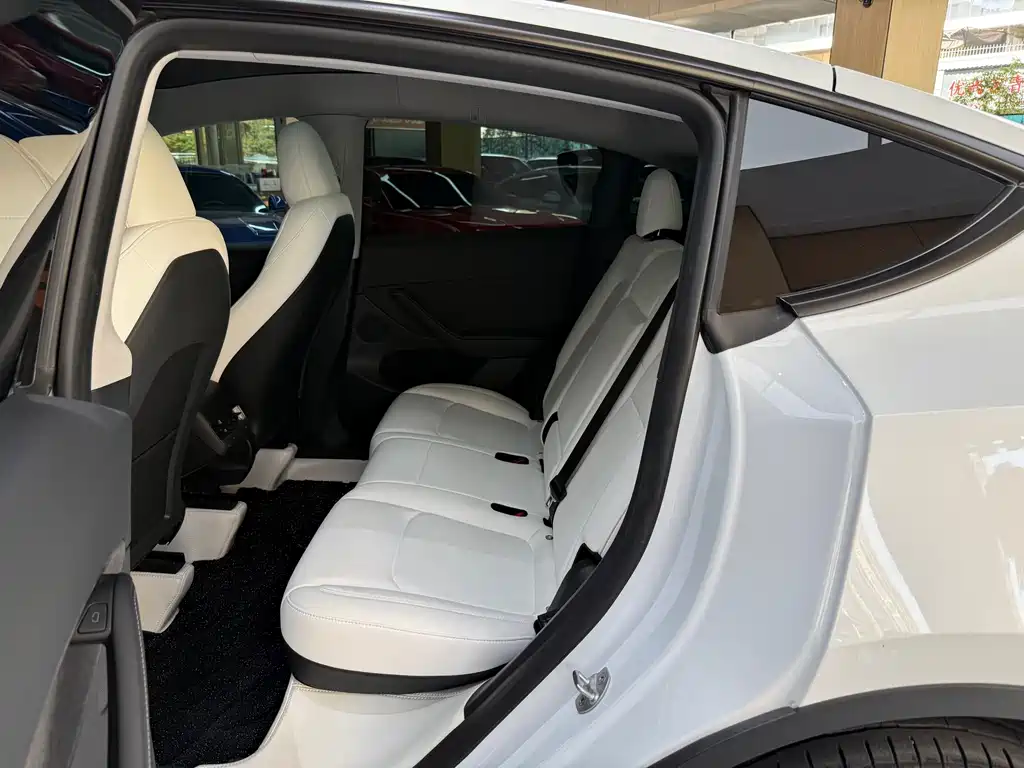 Tesla Model Y — миниатюра 24