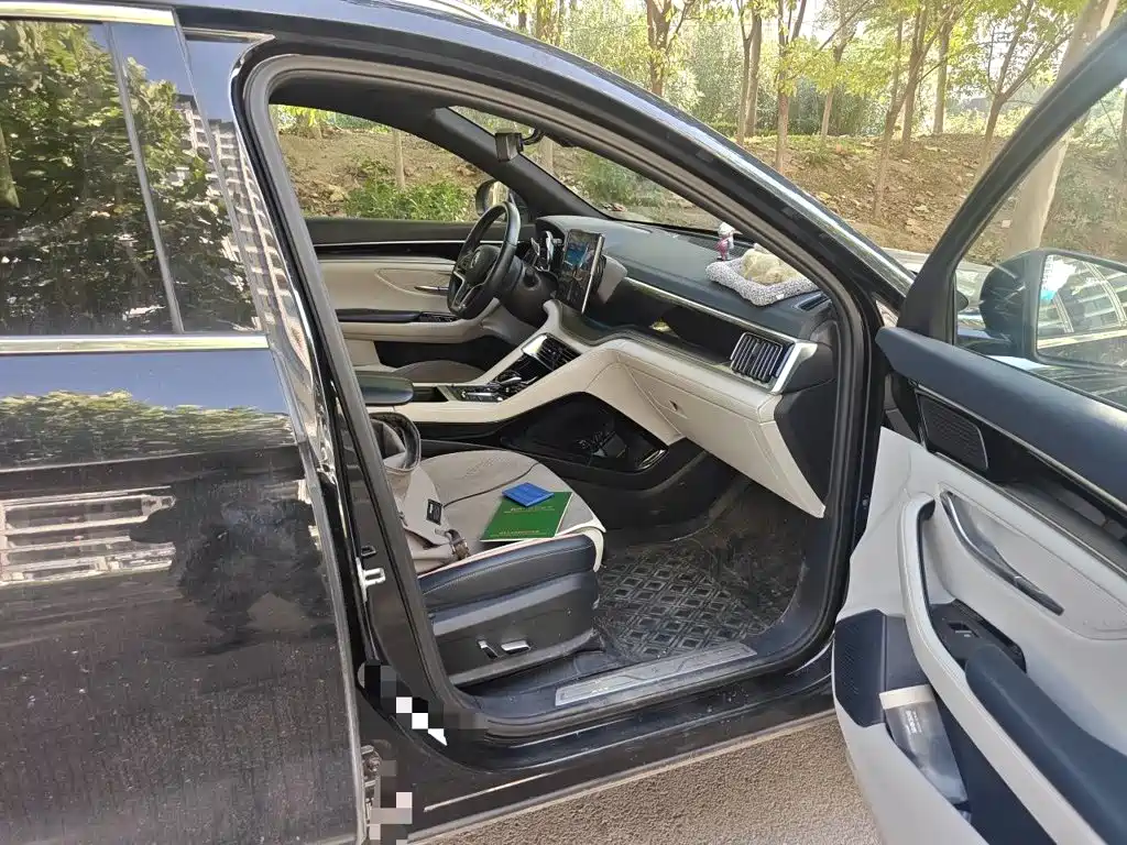 BYD PLUS New Energy — миниатюра 19