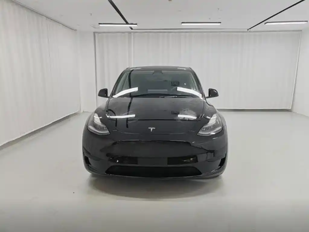 Tesla Model Y — миниатюра 2