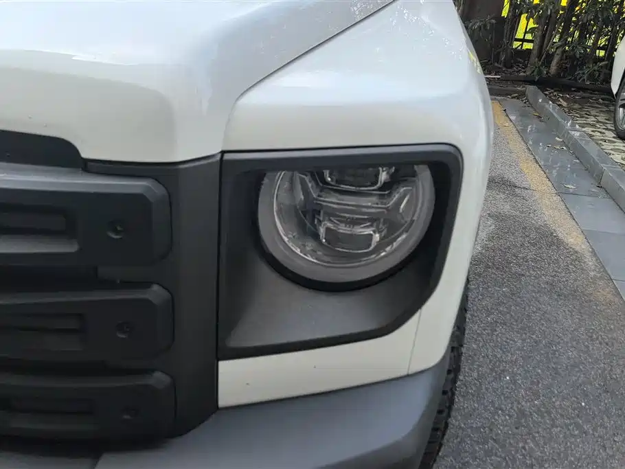 HAVAL RAPTORS NEW ENERGY