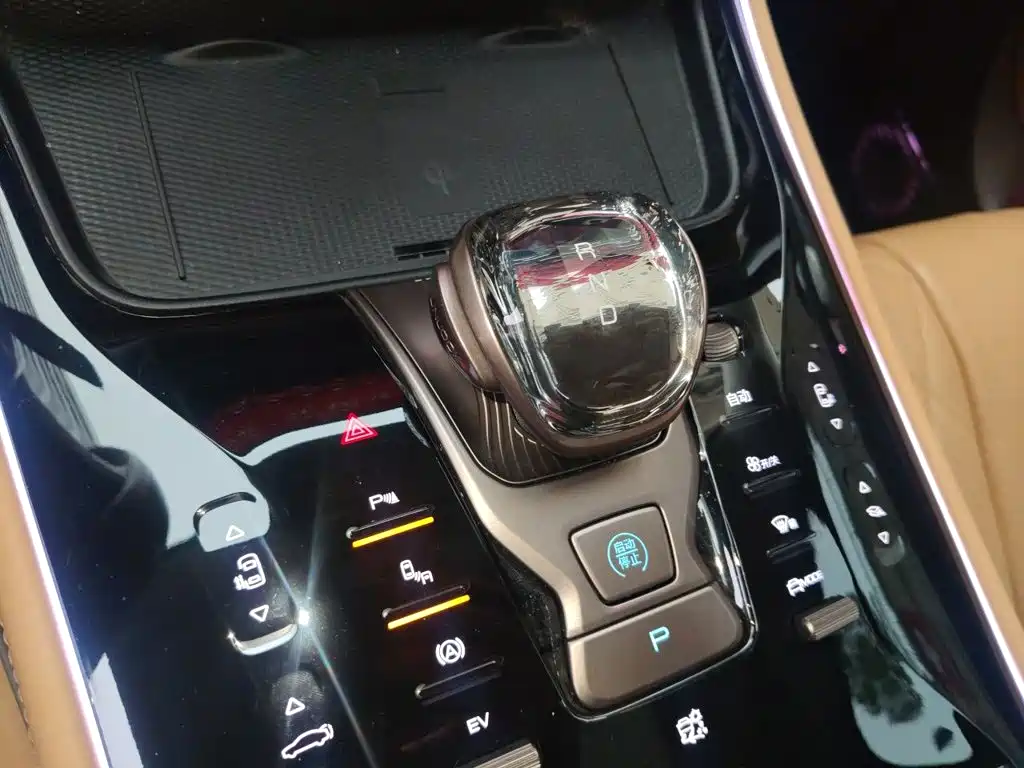 Denza Denza D9 — миниатюра 15