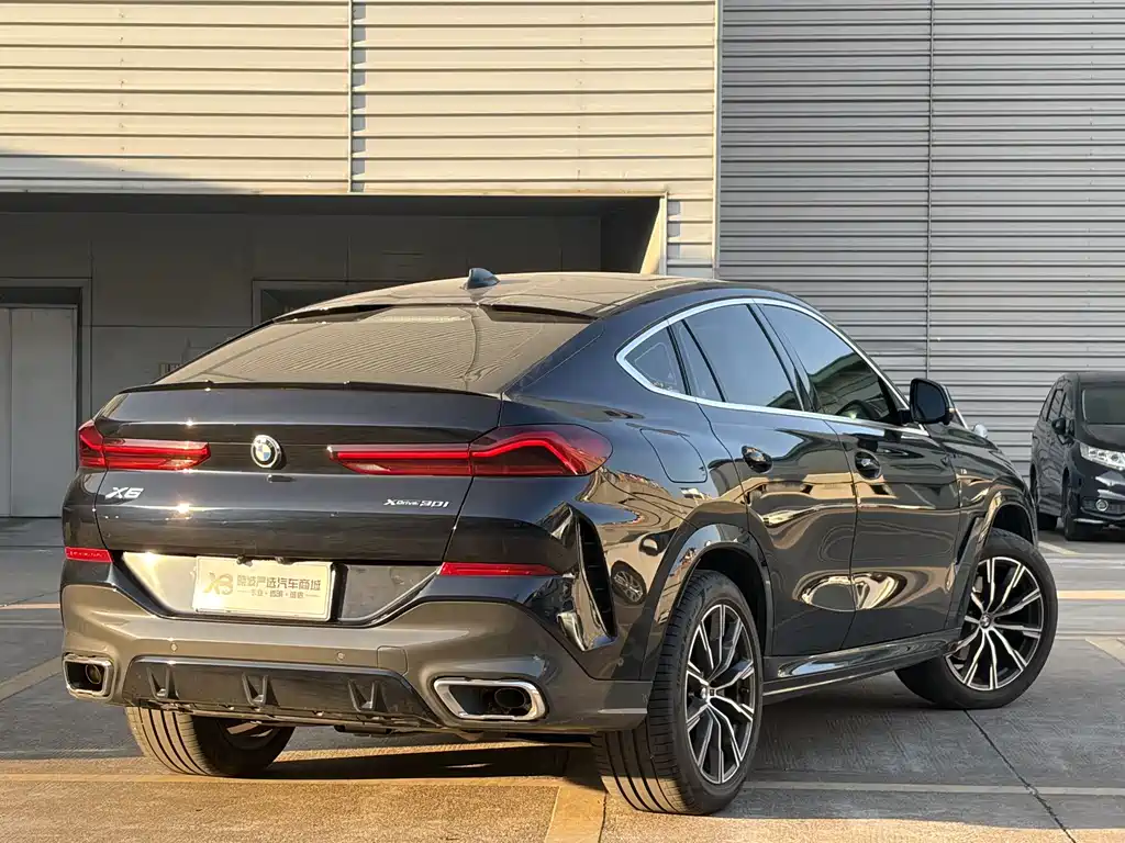 BMW X6 — миниатюра 4