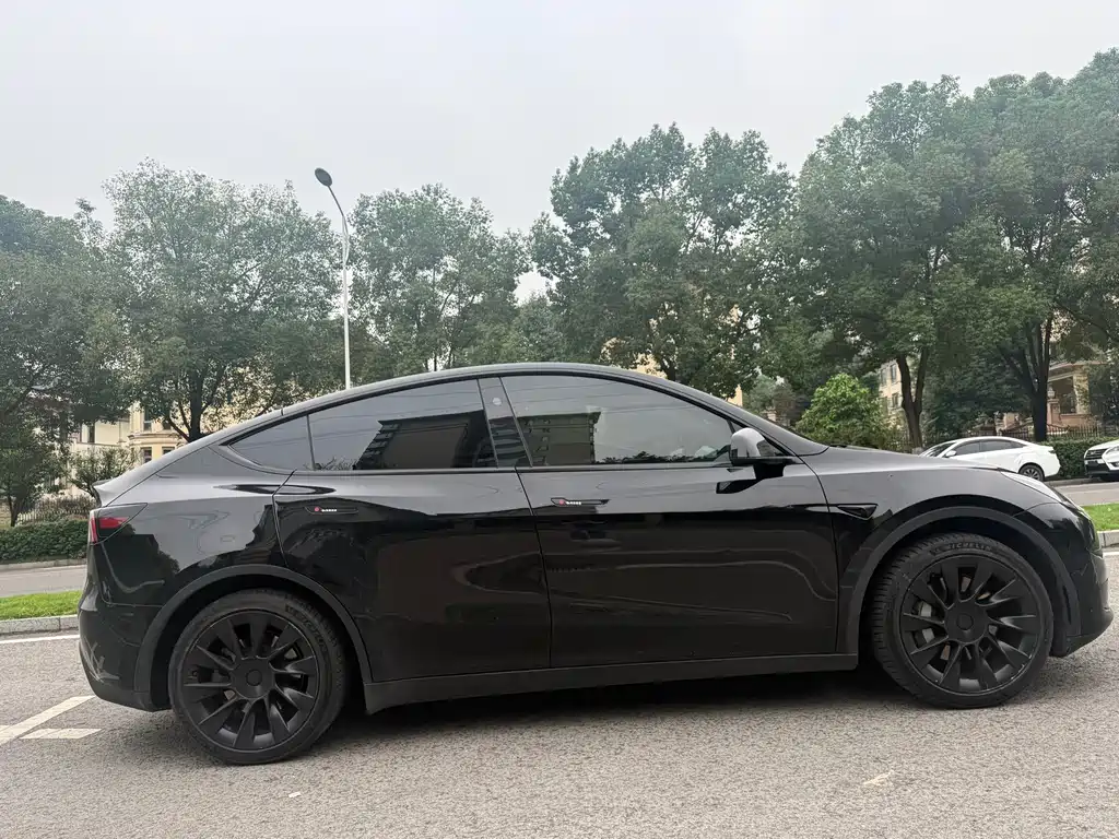 Tesla Model Y — миниатюра 20