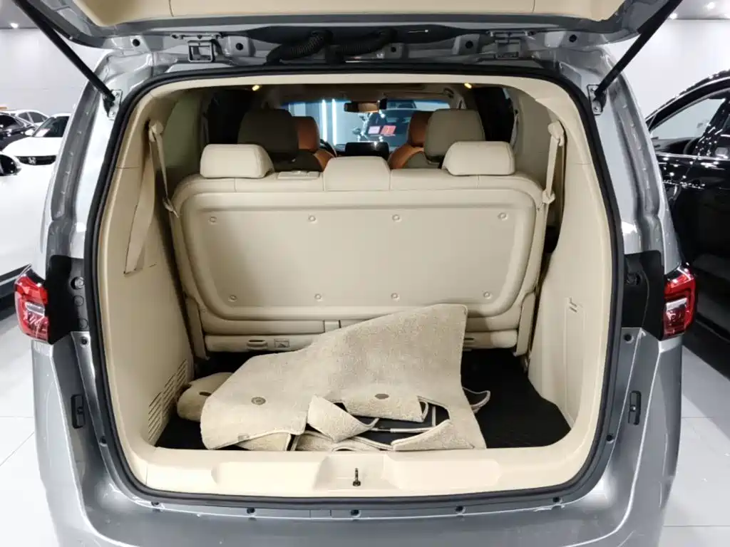 Buick GL8 — миниатюра 19