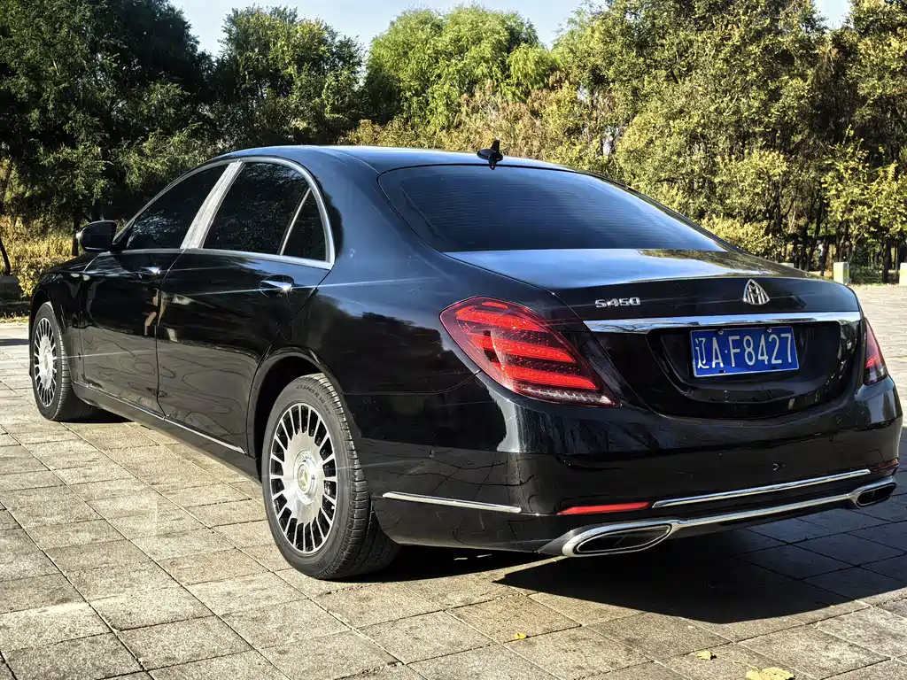 Mercedes-Benz S-Class — миниатюра 15