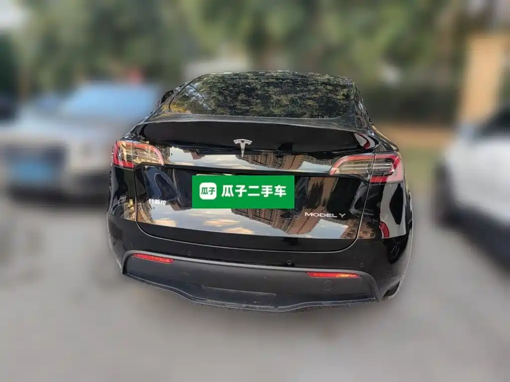Tesla Model Y — миниатюра 3