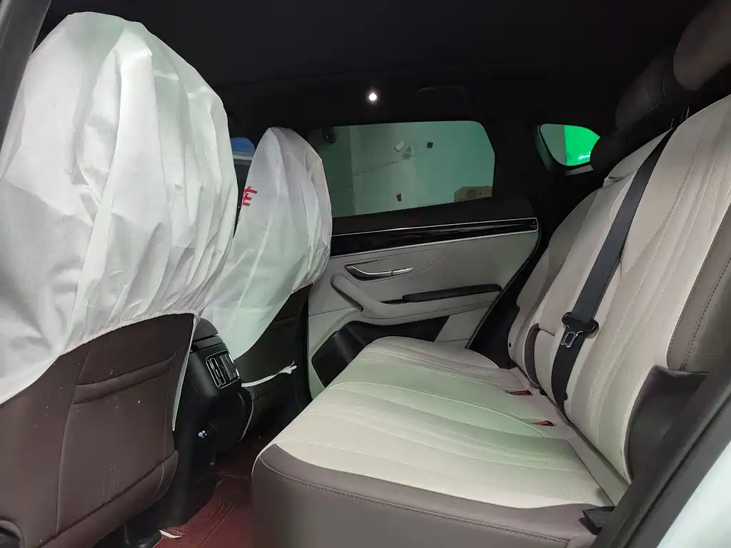 BYD SONGJIANG NEW ENERGY