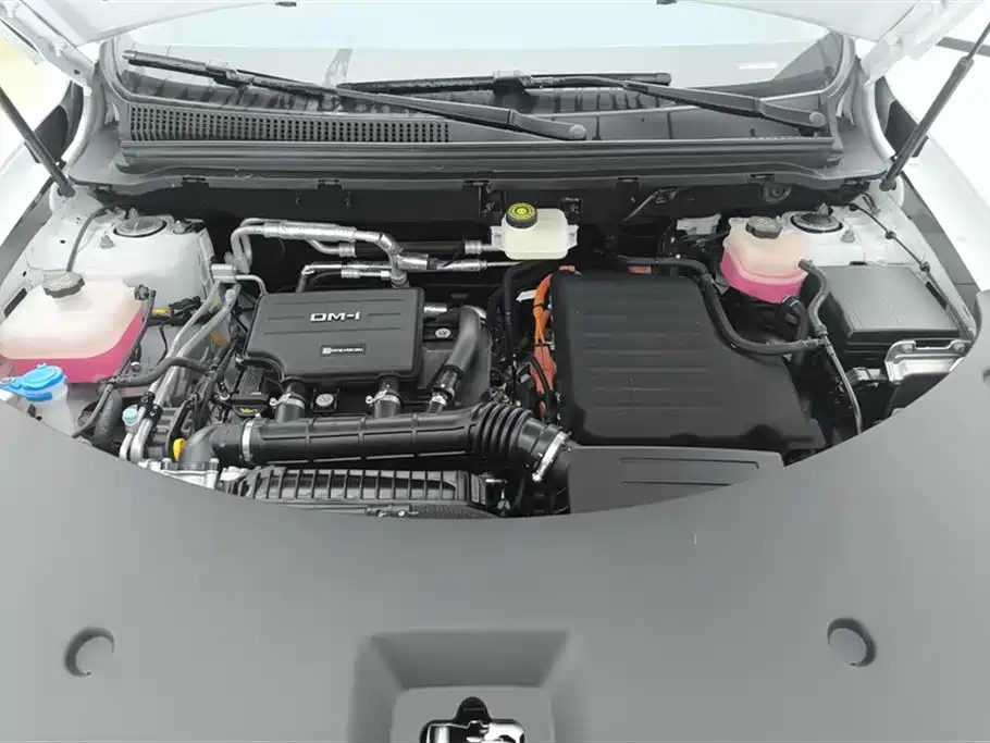 BYD SONGJIANG NEW ENERGY